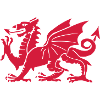 Wales dragen welsh red dragon wales cymru