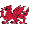 welsh red dragon wales cymru
