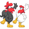 Tanzen Huhn Paar