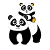 Panda bear design panda bears