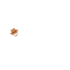 Texas