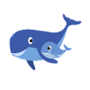 baleines
