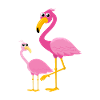 Flamingo avec bébé flamingo