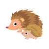 Hedgehog with hedgehog baby