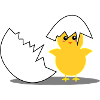 Sweet chick