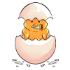 Chick With A Bouquet