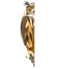 Polygon Eule