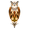 Polygon owl