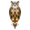 Polygon owl