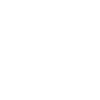 Evolution basketball