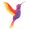 Lebendiger Aquarell-Kolibri