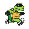 Turtle thief, turtles robbers