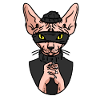 Cat Robber, Cat Robber
