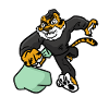 Thief Tiger, Tiger Raider
