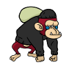Robber Baboon monkey monkey baboons