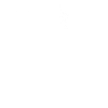 Skater's heartbear