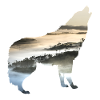 Wolf Landscape Mountains Fog Gift