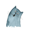 Cat grey