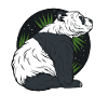 panda