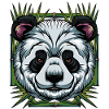 Pandabär