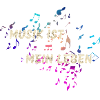 music is my life