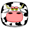 Funny Cow