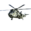 Proud helicopter mom