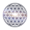 Flower of Life