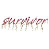 survivor