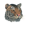 tiger