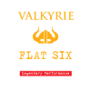 Valkyrie Moto Biker