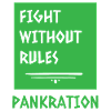 Fight without rules pankration