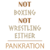 Mix martial art pancake