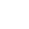 Motorcycle Evolution