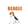 De anatomie van een beagle - grappige hondbeelden