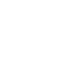 Inline Skaters