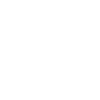 Jolly Roger Pirate Skull