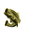 Fishing angler fish