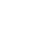 Pilot, pilot