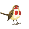 Savoyard Robin