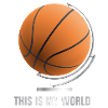 globe_world_sport_122013_basketball_b