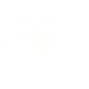 dino stegosaurus kids chalk