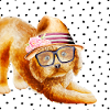 Amanti degli animali - Barodle con occhiali e cappello