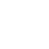 Lawyer