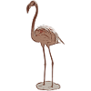 Flamingo- Bird Lovers
