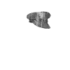 Chauffeur driver