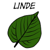 Green leaf pattern nature design