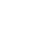 Pioneer_N2