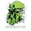 Experiment C31