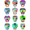 Skull skull